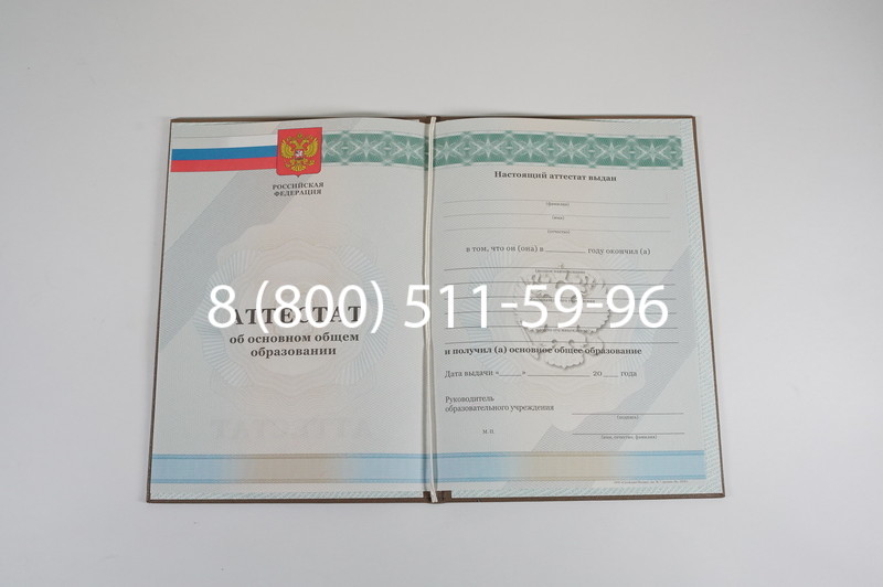 Аттестат за 9 класс 2011-2013 годов в Пскове Аттестат за 9 класс 2011-2013 годов в Пскове