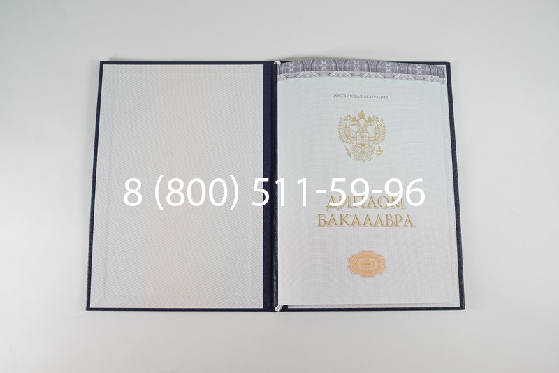 Диплом бакалавра (Киржач) 2014-2024 года в Пскове