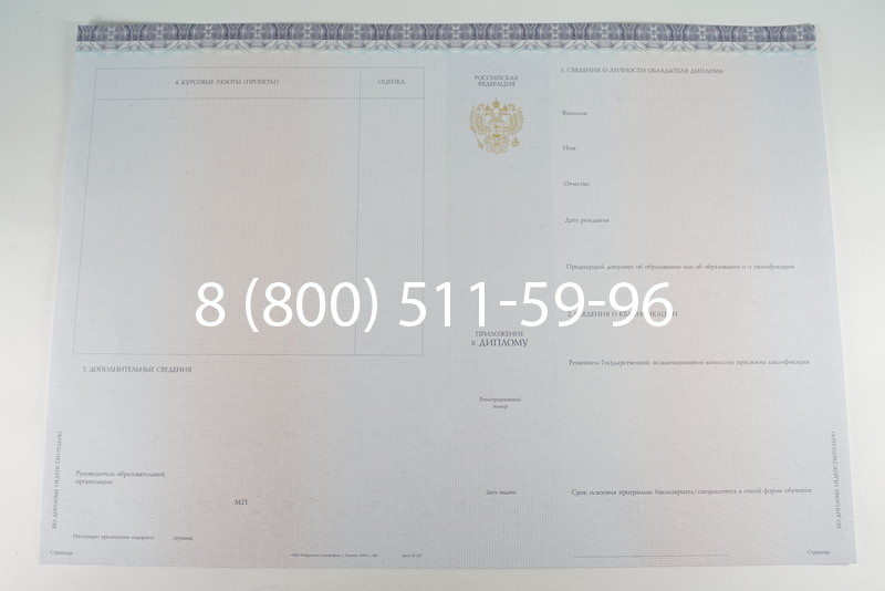 Диплом бакалавра (Киржач) 2014-2024 года в Пскове