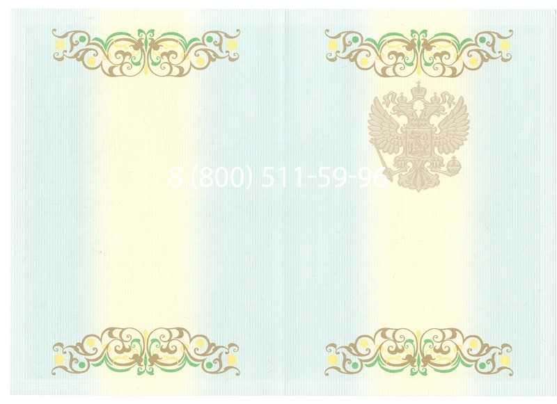 Купить Диплом бакалавра 2012-2013 годов в Пскове Купить Диплом бакалавра 2012-2013 годов в Пскове