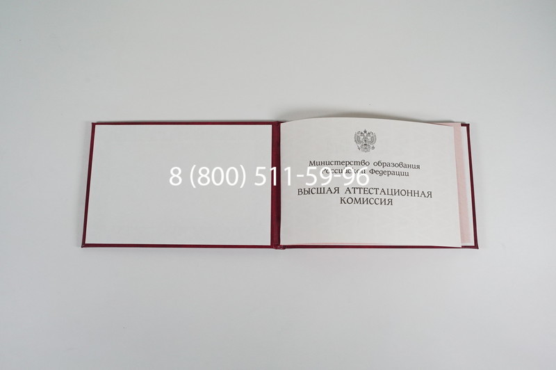 Диплом доктора наук 1995-2006 года в Пскове Диплом доктора наук 1995-2006 года в Пскове