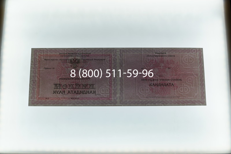 Заказать Диплом кандидата наук 2010 в Пскове