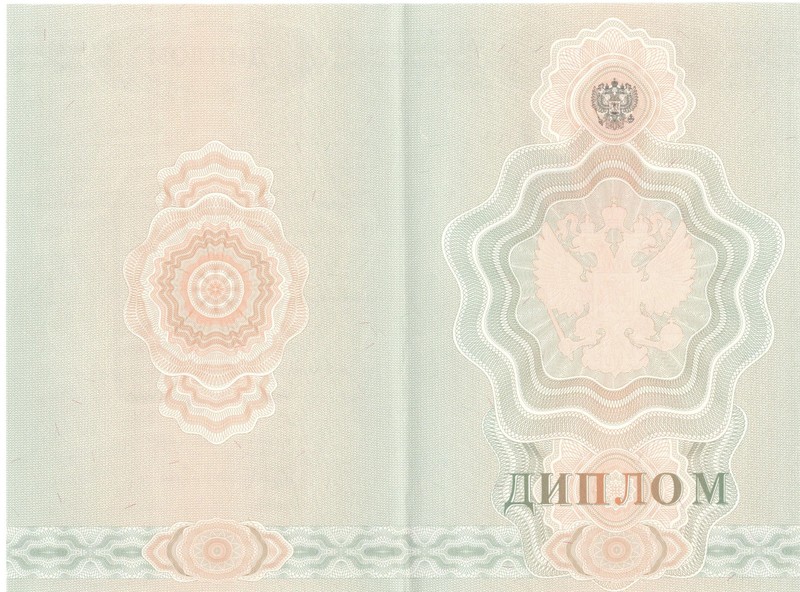 Купить Диплом о начальном образовании 2007-2009 годов в Пскове Купить Диплом о начальном образовании 2007-2009 годов в Пскове