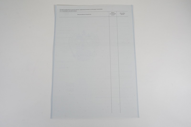 Диплом о начальном образовании 2007-2009 годов в Пскове Диплом о начальном образовании 2007-2009 годов в Пскове