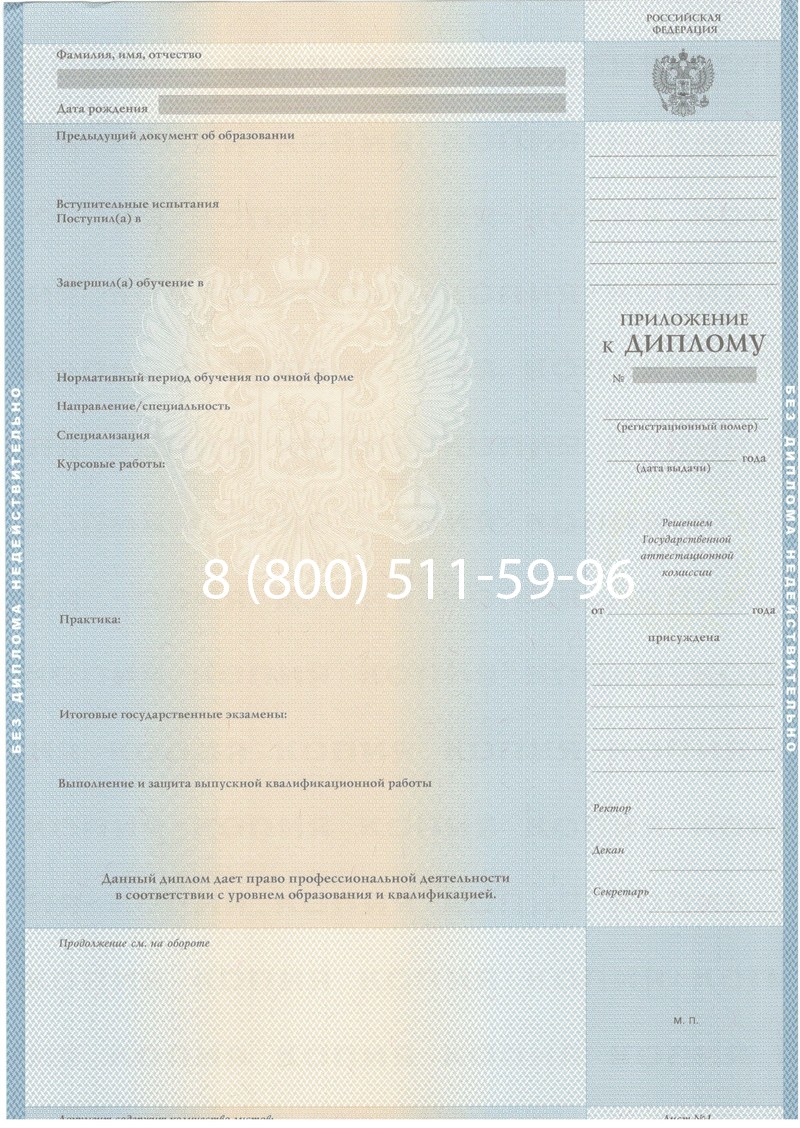 Купить Диплом о высшем образовании 2003-2009 годов в Пскове Купить Диплом о высшем образовании 2003-2009 годов в Пскове