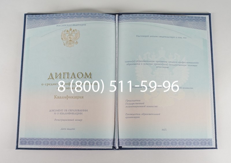 Диплом колледжа (Спецбланк) 2014-2024 года в Пскове Диплом колледжа (Спецбланк) 2014-2024 года в Пскове