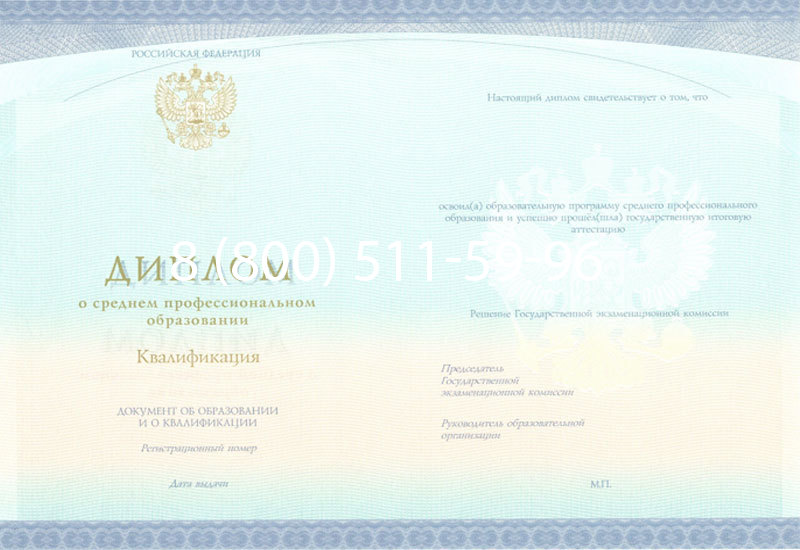 Купить Диплом колледжа (Спецбланк) 2014-2024 года в Пскове Купить Диплом колледжа (Спецбланк) 2014-2024 года в Пскове