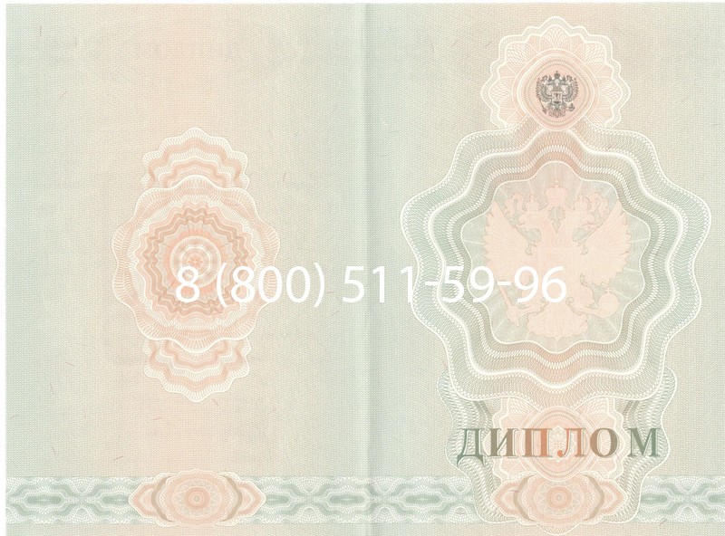 Купить Диплом училища 2007-2009 годов в Пскове Купить Диплом училища 2007-2009 годов в Пскове